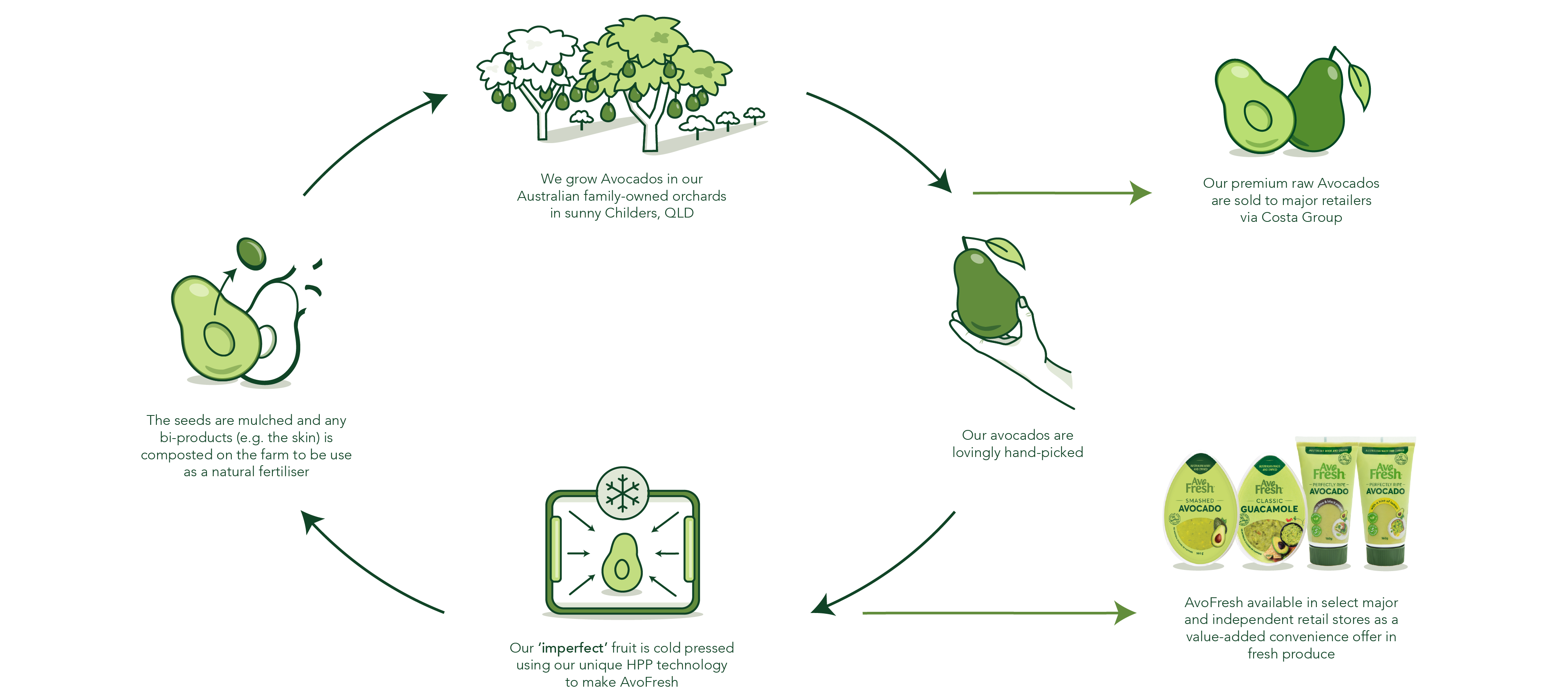 Circular Avocado Story - Web